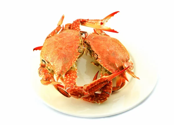 steam crab isolated on white background / cooked crab steamed seafood on white plate ready to serve / BLUE SWIMMING CRAB