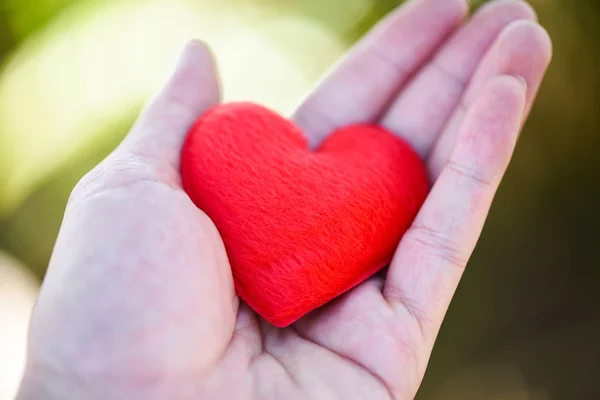 Amor Homem Segurando Pequeno Coração Vermelho Nas Mãos Por Amor — Fotografia de Stock