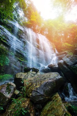 Ormanda güzel şelale dağ nehir dere / peyzaj şelale yeşil orman doğa bitki ağaç rainforest rock yeşil ecek güneş ışığı ile birlikte