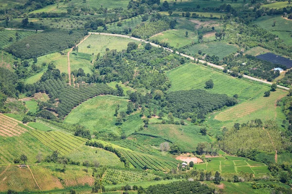 Ansicht Von Oben Grünes Feld Landwirtschaftliche Fläche Mit Straßenkurve Auf — Stockfoto