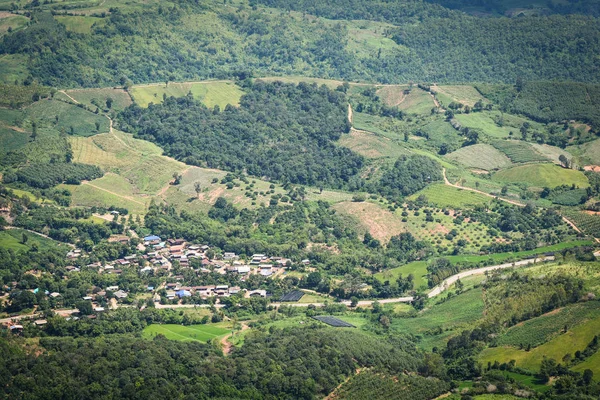 Blick Von Oben Dorf Landwirtschaftliches Gebiet Blick Grüne Wiese Landwirtschaftlicher — Stockfoto