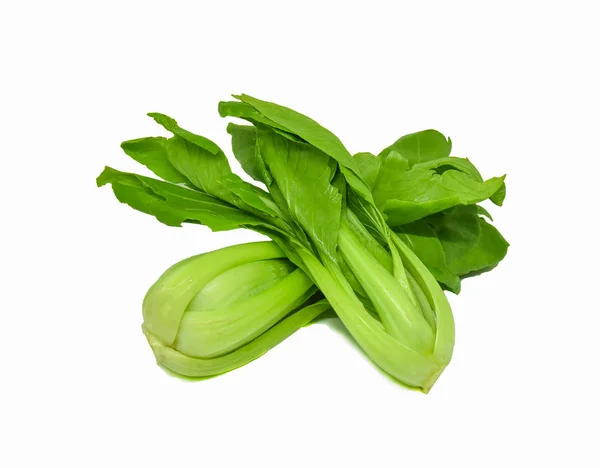 Bok Choy Απομονωμένη Λαχανικό Φρέσκο Πράσινο Choy Bok Κινέζικο Λάχανο — Φωτογραφία Αρχείου