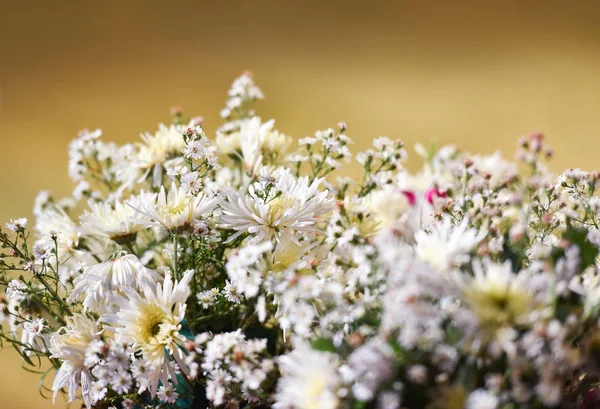 Ramo Flores Crisantemo Hermoso Flores Crisantemo Blanco Decorar Jarrón Sobre —  Fotos de Stock