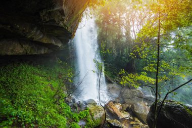 Ormanda güzel şelale dağ nehir dere / peyzaj taş ile güneş ışığı ile mağara yeşil orman doğa bitki ağaç ormanlarının şelale açık