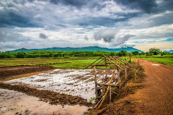 Rain clouds the storm on field / The thunder storm clouds on sky gloomy at agricultural area green field in rainy season - Dirt road rural countryside