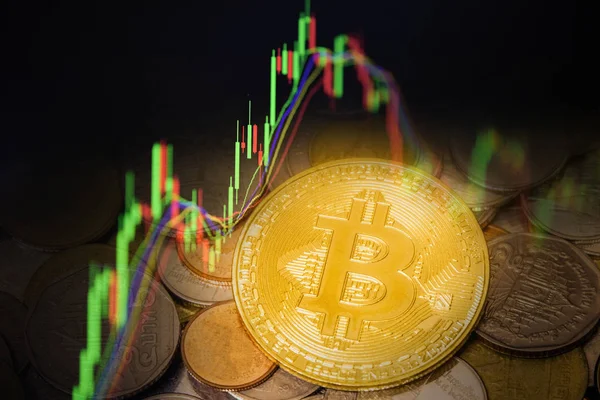 Bitcoin ticaret forex altın sikke yatırım - iş grafik grafikler finansal yönetim kurulu bitcoin pazarlama büyüyen stok gelecek ticaret mum grafik mali çift pozlama görüntüler.
