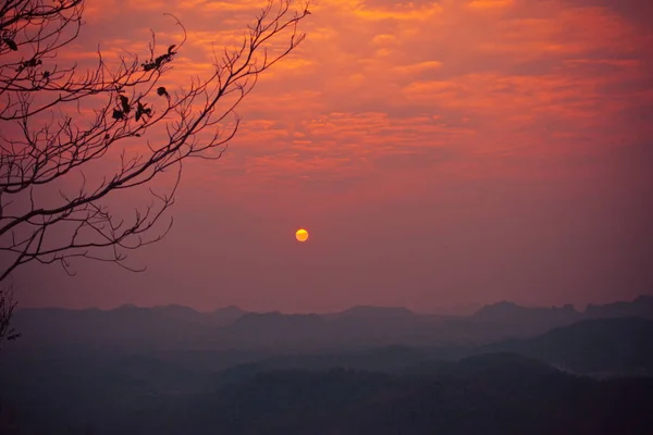 Закат Восход Солнца Красочный Силуэт Ветки Неба Вид Ландшафт Красное — стоковое фото
