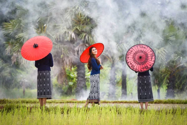 Women Asia Farmer Rice Field Portrait Three Beautiful Young Asian — Stock Photo, Image