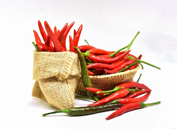 Färsk Chilipeppar Isolerade Röda Chilifrukter Skörda Från Gården Säck Chili — Stockfoto