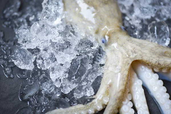 Καλαμάρια Θαλασσινά Στον Πάγο Φρέσκο Χταπόδι Ωκεανό Γκουρμέ Raw Καλαμάρια — Φωτογραφία Αρχείου