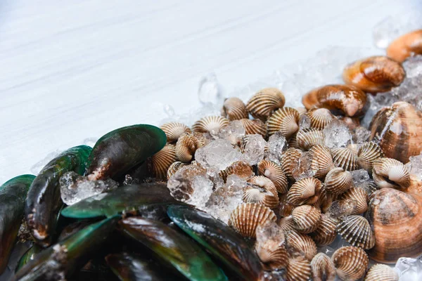 Shellfish Ice Background Fresh Raw Blood Cockle Green Mussels Enamel — Stock Photo, Image