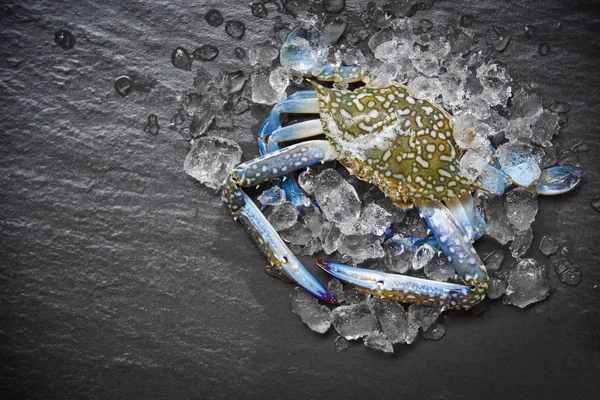 Θαλασσινά Καβούρι Στον Πάγο Νωπό Ακατέργαστο Blue Swimming Crab Ωκεανό — Φωτογραφία Αρχείου