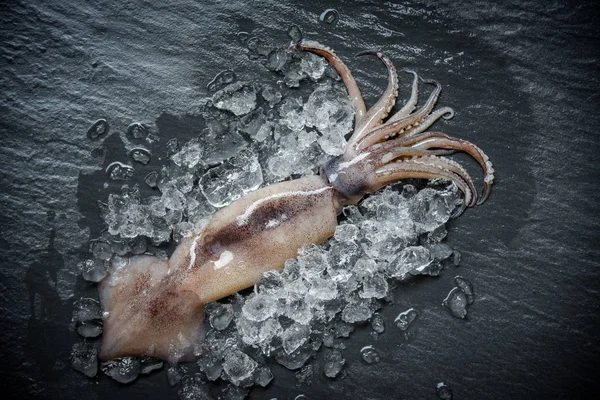 冰上的海鲜鱿鱼 新鲜章鱼海洋美食鱿鱼与冰黑暗背景在餐厅 — 图库照片