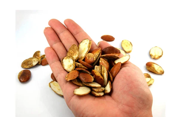 Kayu Semente Irvingia Malayana Porca Para Lanche Alta Proteína Comida — Fotografia de Stock