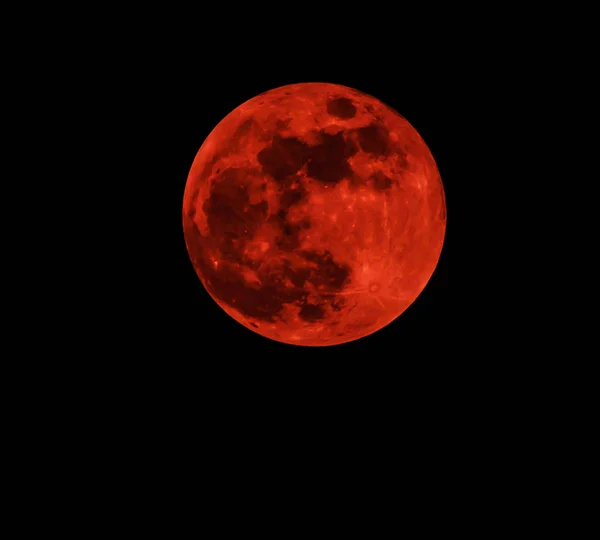 Luna Roja Luna Real Llena Sangre Sobre Fondo Oscuro Cielo — Foto de Stock