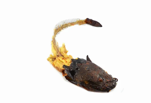 Fishbone Från Grillad Havskatt Islated Vit Bakgrund — Stockfoto