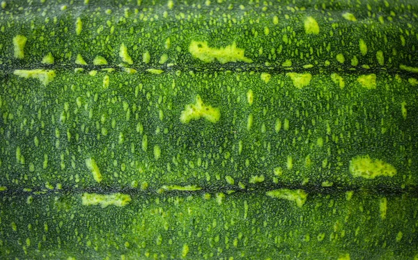 緑の植物の背景テクスチャにスポンジひょうたん野菜の皮膚 — ストック写真