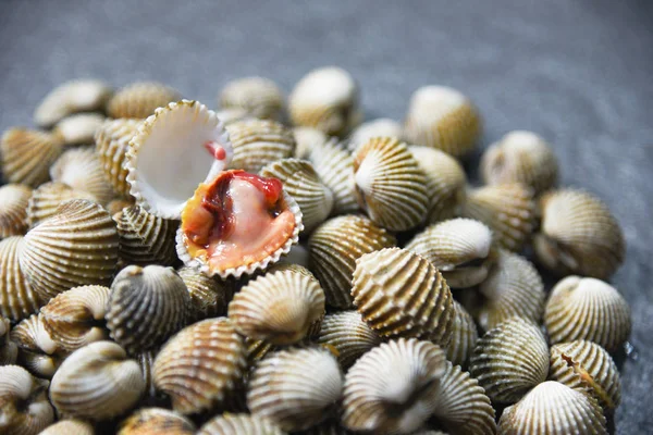 暗い背景 生赤貝に新鮮な貝貝魚介類 — ストック写真