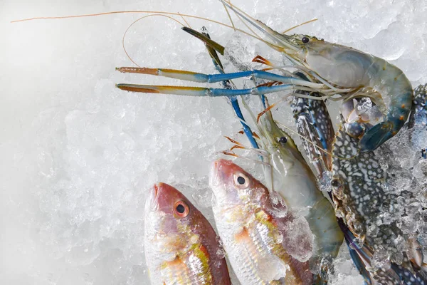 Fresh raw seafood on ice background / Shellfish shrimps prawns crab and fish ocean gourmet in the Seafood market