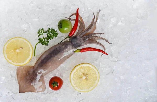 Fresh Raw Squid Seafood Lemon Parsley Tomato Chilli Ice Bucket — Stock Photo, Image