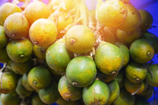 Fresh Betel Nut Palm Fruit Hang Tree Chewing Areca Nut — Stock Photo, Image