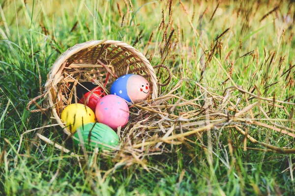 Yeşil çimenlerin üzerinde açık Paskalya yortusu yumurta avlamak / renkli sepet yumurta çayır on şenlikli dekore edilmiş