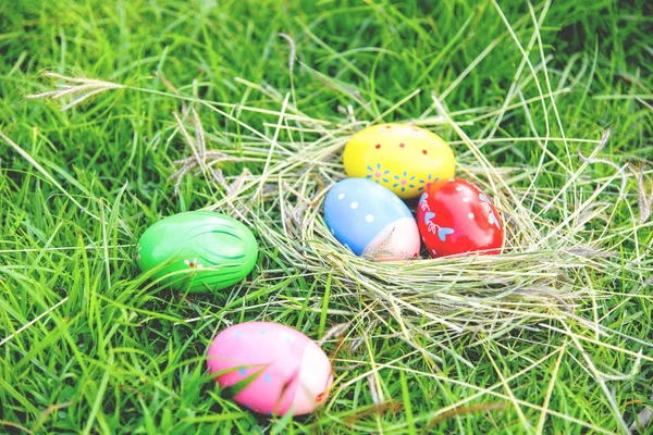 Easter eggs hunt on green grass  outdoor / Nest egg colorful decorated festive on meadow