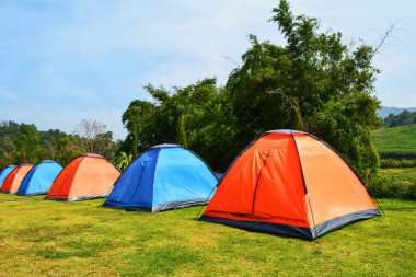 Turizm seyahat için yeşil çim çayır üzerinde güzel satırda renkli çadır kamp relax açık tatil zamanı