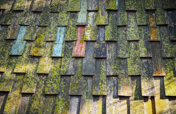 Old wooden roof tiles pattern with green moss texture background — Stock Photo, Image