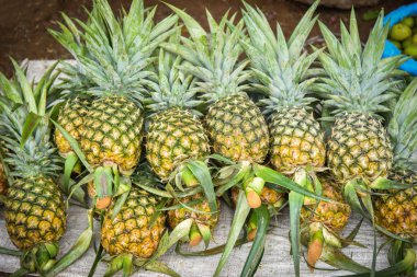 Taze ananas tropikal meyve pazarında Satılık
