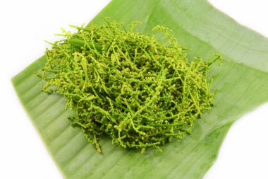 Yaprak ve çiçek Melientha suavis, pierre muz yaprak backgr