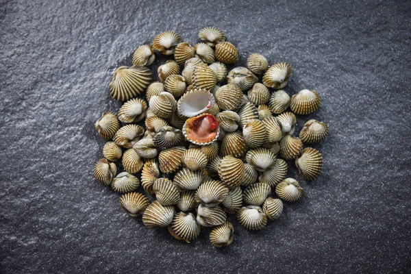 Frische Herzmuscheln Meeresfrüchte auf dunklem Hintergrund - rohes Blut — Stockfoto