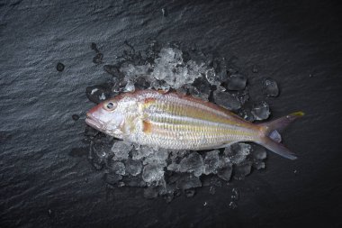 Koyu arka plan üzerinde buz ile taze çiğ balık / deniz ürünleri Okyanus balık 