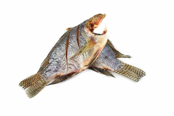 Soltorkade torkning tilapia fisk isolerade på vit bakgrund — Stockfoto