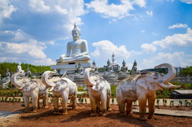 Güzel Buda heykeli ve fili heykele açık peyzaj