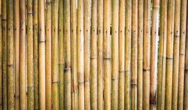 Duvar bambu doku / eski sarı kahverengi Bambu tahta backgro için