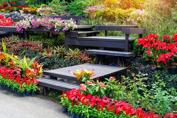 Flores coloridas e plantas ornamentais no jardim da primavera — Fotografia de Stock