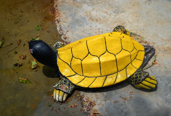 Желтая статуя Черепахи в саду пруда с водой — стоковое фото