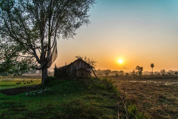 Vidéki táj mező és a fű a napkelte gyönyörű reggel — Stock Fotó