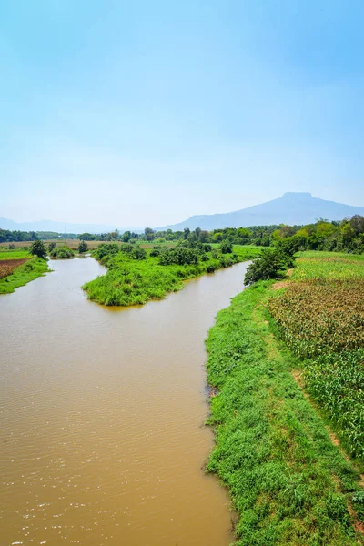 Річковий пейзаж Сільське господарство посадка зеленого кукурудзяного поля на річках — стокове фото