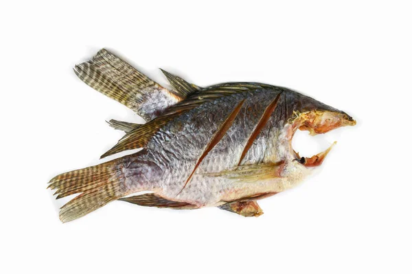 Tilapia de pescado seco aislada sobre fondo blanco — Foto de Stock