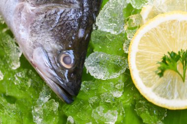 Taze levrek balık yemek pişirmek için