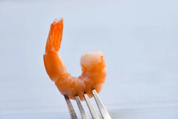 Shrimp on fork / Cooked seafood shrimps prawns ocean gourmet din — Stock Photo, Image
