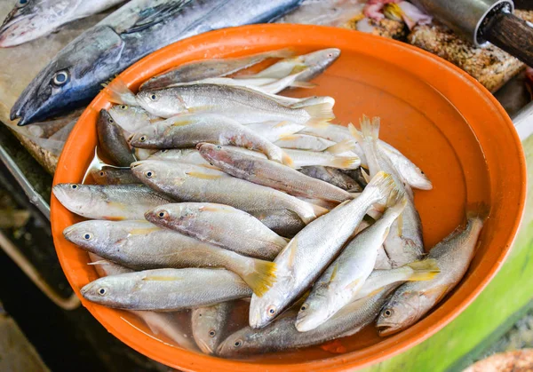 Fresh fish in ice bucket for sale in the seafood market / sea fi