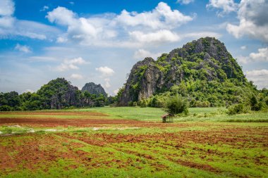 Manzara kırsal alanlarla Tarım çiftliği alan grubu için pulluk