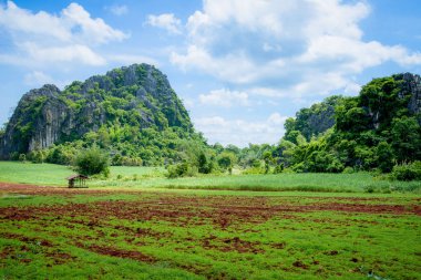 Manzara kırsal alanlarla Tarım çiftliği alan grubu için pulluk
