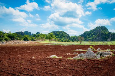 Manzara kırsal alanlarla Tarım çiftliği alan grubu için pulluk