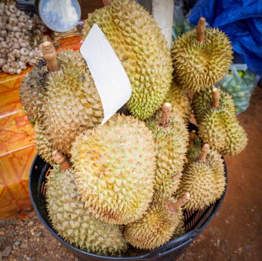 Taze durian durian Bahçe sepetten meyve