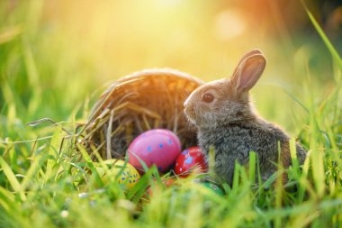 Küçük Bunny ve basket Festival Paskalya yumurtası renk için dekore