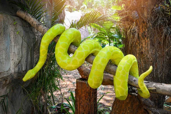 Boa orm staty / stora gröna boa på träd gren på naturen pa — Stockfoto